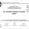 Ampliar imagen: certificate 12