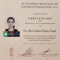 Ampliar imagen: certificate 1