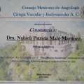 Ampliar imagen: certificate 19