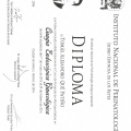 Ampliar imagen: certificate 11