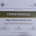 Ampliar imagen: certificate 3