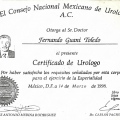 Ampliar imagen: certificate 4