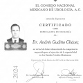 Ampliar imagen: certificate 1