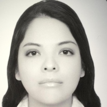 Ampliar imagen: Dennise Flores Rangel, Ortopedista San Luis Potosi