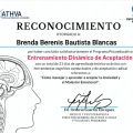 Ampliar imagen: certificate 3