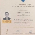 Ampliar imagen: certificate 2