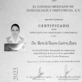 Ampliar imagen: certificate 2