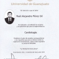 Ampliar imagen: certificate 4