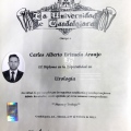 Ampliar imagen: certificate 2