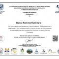 Ampliar imagen: certificate 11