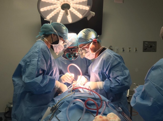 Nelly Ruth Limón Garcia-0