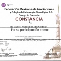 Ampliar imagen: certificate 75