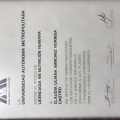 Ampliar imagen: certificate 3