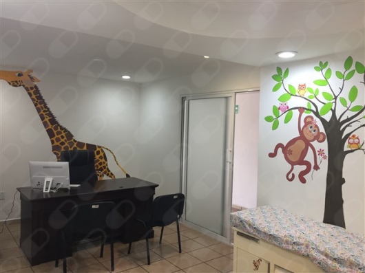 Andres García Von Borstel-3