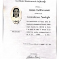 Ampliar imagen: certificate 1
