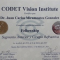 Ampliar imagen: certificate 2