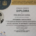 Ampliar imagen: certificate 2
