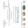Ampliar imagen: certificate 19
