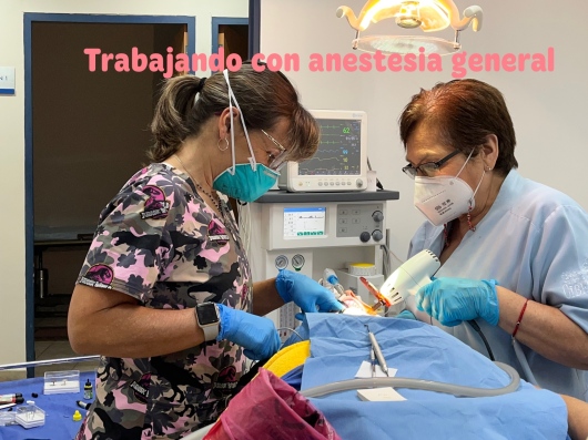 Elisa Aguilar Macias-0