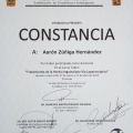 Ampliar imagen: certificate 10