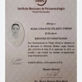 Ampliar imagen: certificate 5