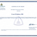 Ampliar imagen: certificate 8