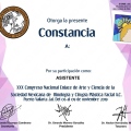 Ampliar imagen: certificate 3