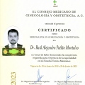 Ampliar imagen: certificate 11