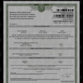 Ampliar imagen: certificate 10
