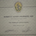 Ampliar imagen: certificate 6