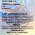 Ampliar imagen: certificate 4