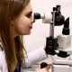 Laura Sáenz Munguia