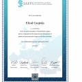 Ampliar imagen: certificate 2