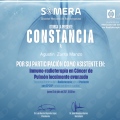 Ampliar imagen: certificate 11