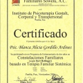 Ampliar imagen: certificate 2
