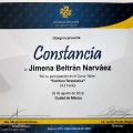 Ampliar imagen: certificate 1