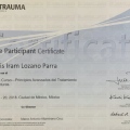 Ampliar imagen: certificate 7