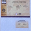 Ampliar imagen: certificate 20