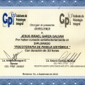 Ampliar imagen: certificate 3