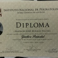 Ampliar imagen: certificate 2
