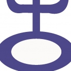 Lic. Maria Guadalupe Valdes Cortes