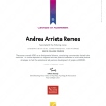 Ampliar imagen: certificate 4