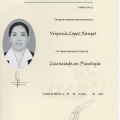 Ampliar imagen: certificate 12