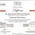 Ampliar imagen: certificate 2