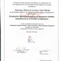 Ampliar imagen: certificate 13