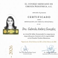 Ampliar imagen: certificate 9