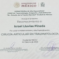 Ampliar imagen: certificate 2