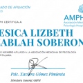 Ampliar imagen: certificate 4