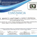 Ampliar imagen: certificate 85
