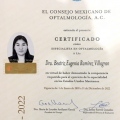 Ampliar imagen: certificate 1